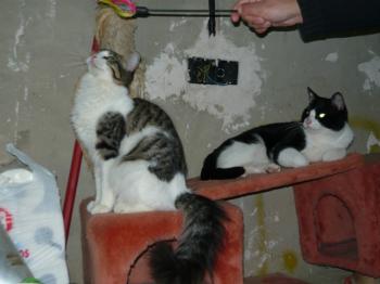 s Bild von Sergio