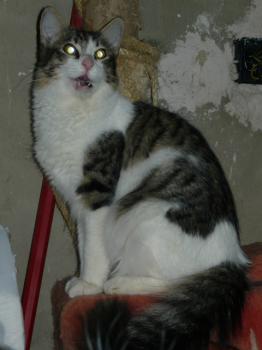 s Bild von Sergio