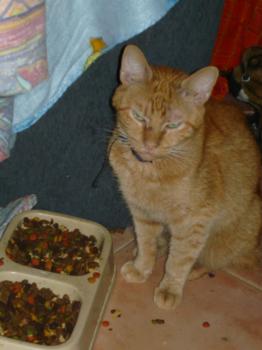 h Bild von Henry