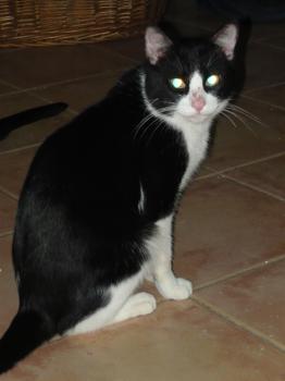 t Bild von Tobi