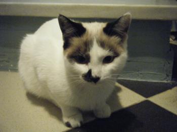 o Bild von Casper