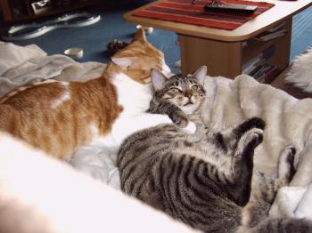 m Bild von Milow