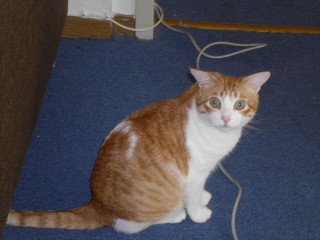 m Bild von Milow