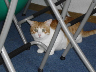 m Bild von Milow