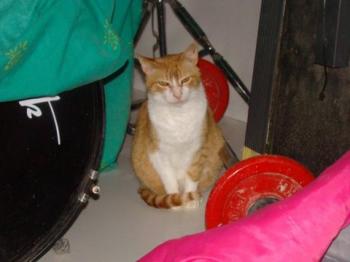 Bild von Kimi