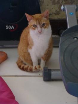 Bild von Kimi