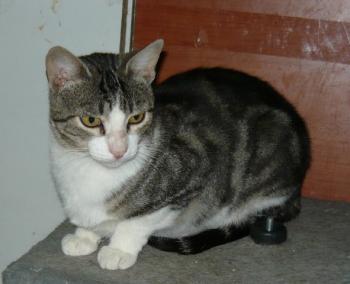 l Bild von Lilian