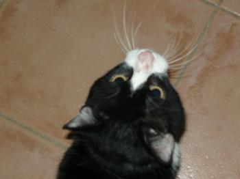 t Bild von Tobi