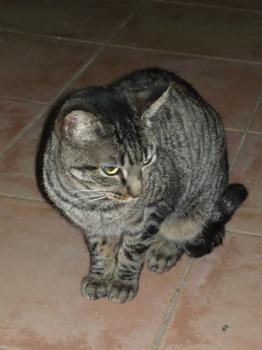 Bild von Kimmi