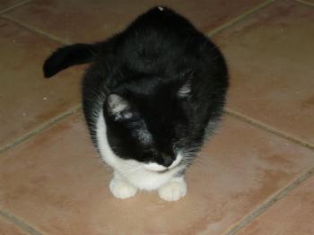 h Bild von Hope