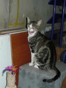 l Bild von Lilian