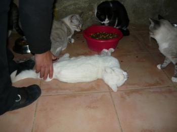 r Bild von Rico
