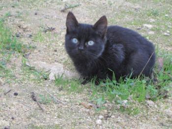 o Bild von Binga
