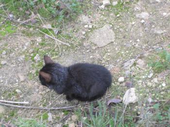 o Bild von Binga