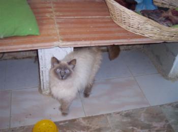m Bild von Muñeca