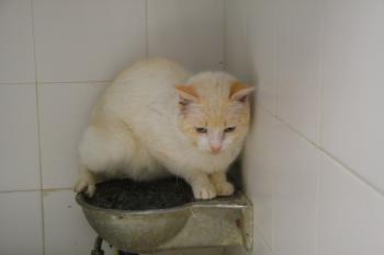 m Bild von Manu