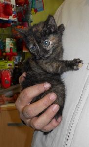 Bild von Tina