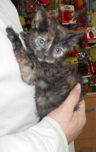 Bild von Tina