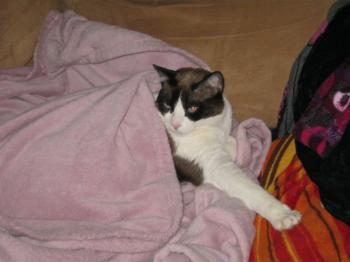 i Bild von Ina