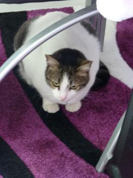 m Bild von Momo