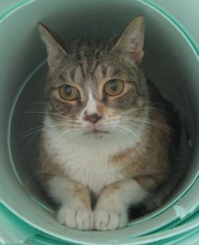 Bild von Gretel