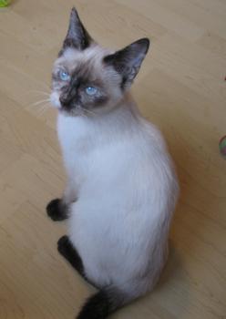 d Bild von Duna