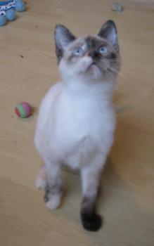 d Bild von Duna