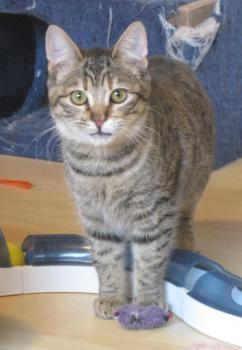 m Bild von Maggie