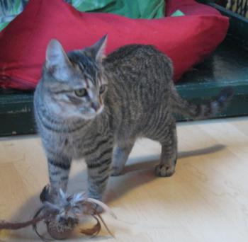 m Bild von Maggie