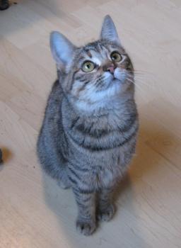 m Bild von Maggie