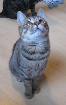 m Bild von Maggie