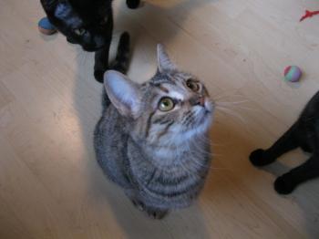 m Bild von Maggie