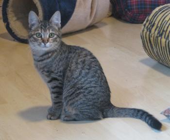 m Bild von Maggie