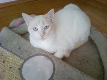 d Bild von Dori