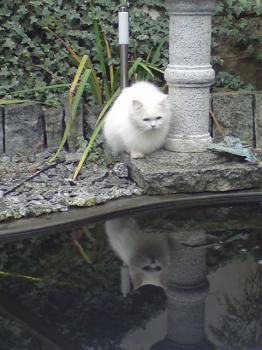 t Bild von Tommy