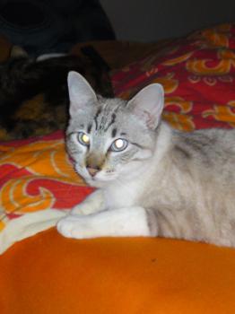 l Bild von Luno