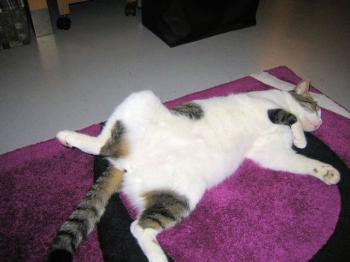 m Bild von Momo