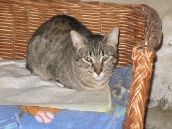 Bild von Kimmi