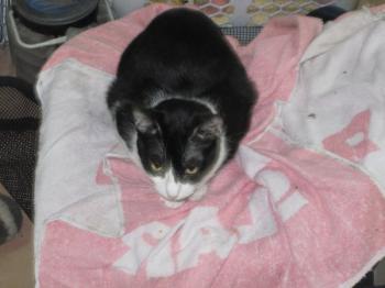 m Bild von Mami