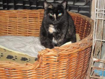 z Bild von Zahara
