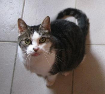 b Bild von Barney