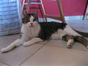 b Bild von Barney