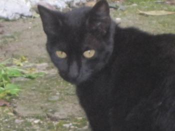 o Bild von Dori