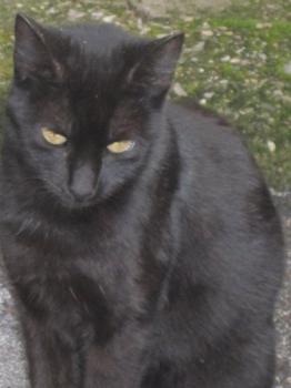 o Bild von Dori