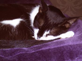 Bild von Jina