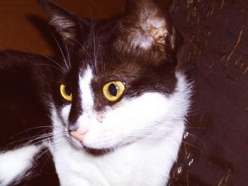 Bild von Jina