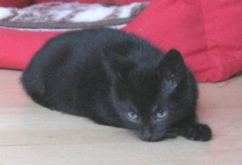 Bild von Wilma