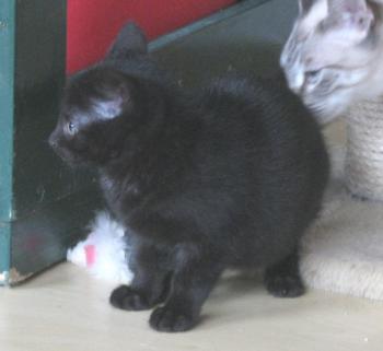 Bild von Wilma