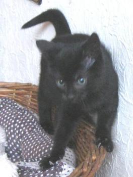 Bild von Wilma