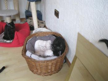 Bild von Wilma